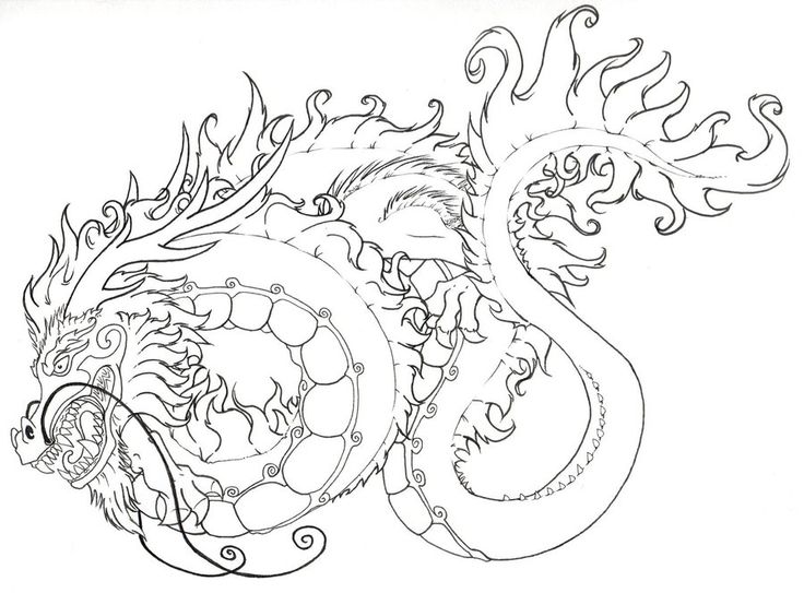 736x543 Cat Coloring Pages For Adults