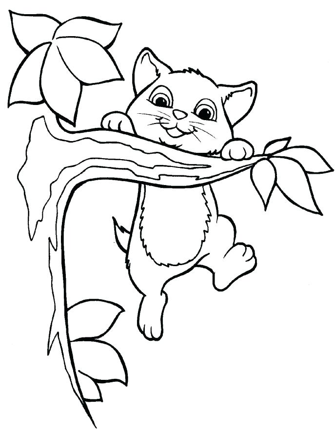 687x891 Cat Coloring Pages For Adults Cat Coloring Page Coloring Pages