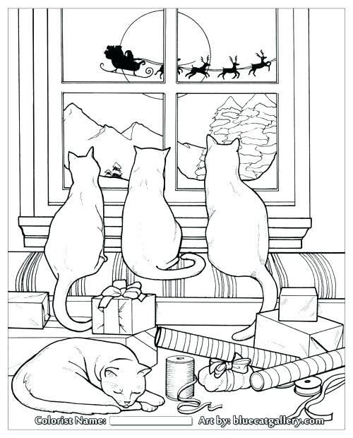 500x620 Cat Coloring Pages For Adults