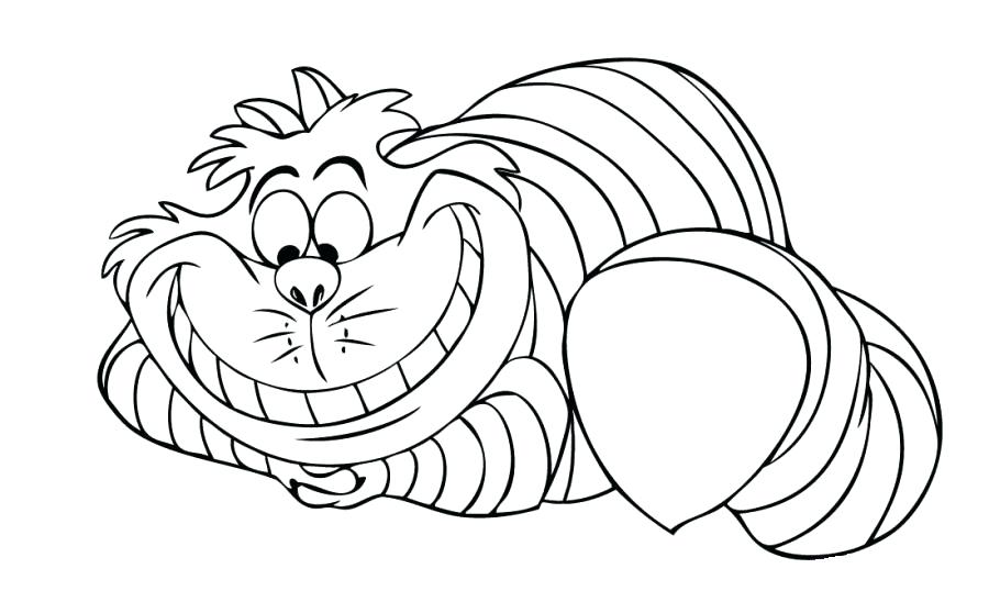 900x538 Cat Coloring Pages X Cute Kitten Cat Coloring Pages