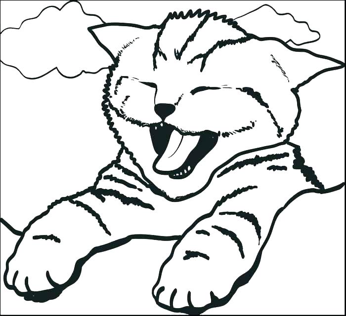 700x640 Free Printable Cat Coloring Pages For Adults Book Of Cats Amazing