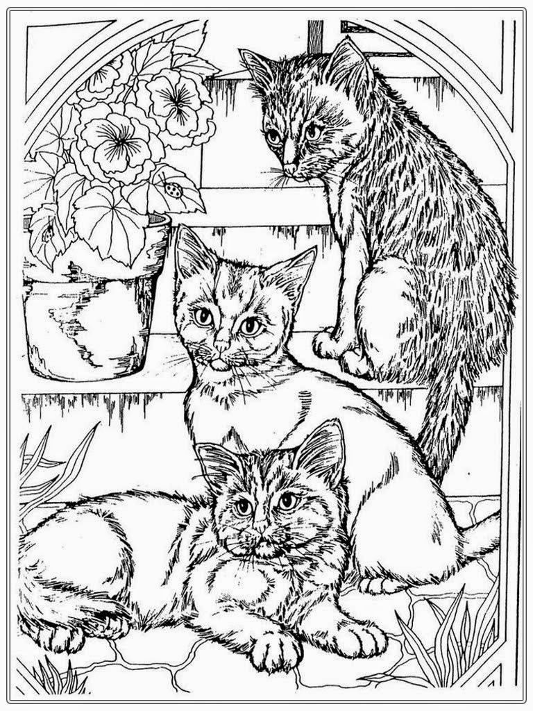 768x1024 New Cat Adult Coloring Pages Free Printable Printable Adult