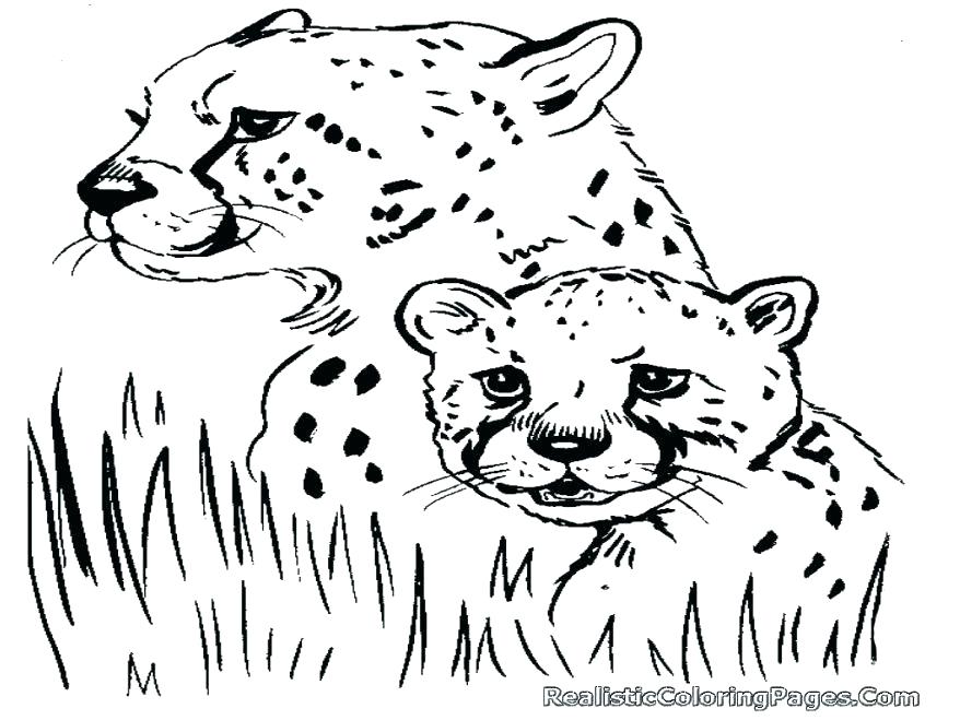Cheetah Coloring Pages Cheetah Coloring Pages Beautiful Cheetah 878x659 Cheetah Coloring Pages Cheetah Coloring Pages Beautiful Cheetah