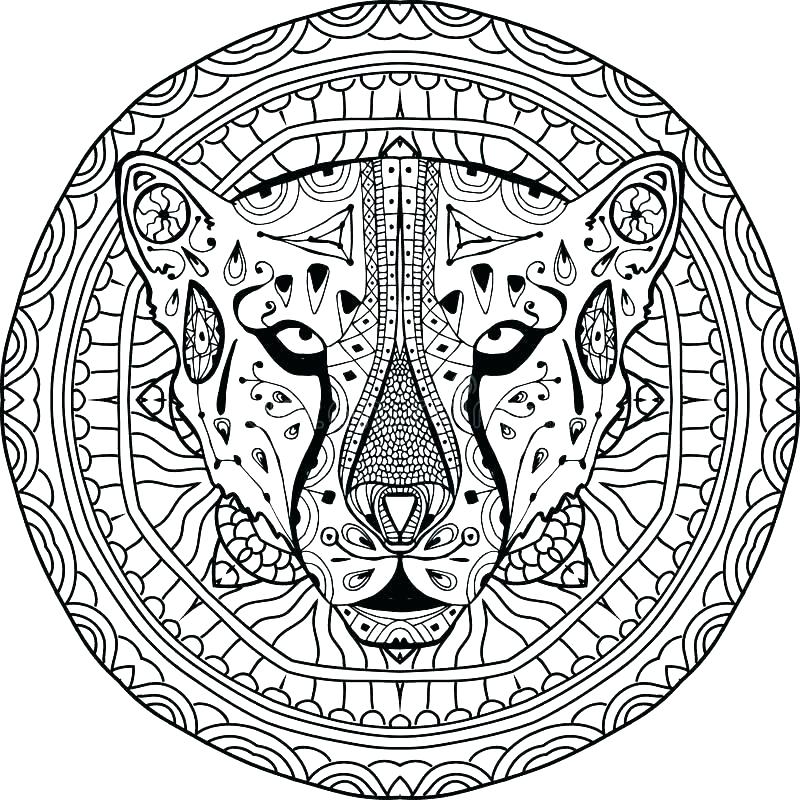Cheetah Coloring Pages Coloring Pages Of Cheetahs Coloring Pages 800x800 Cheetah Coloring Pages Coloring Pages Of Cheetahs Coloring Pages