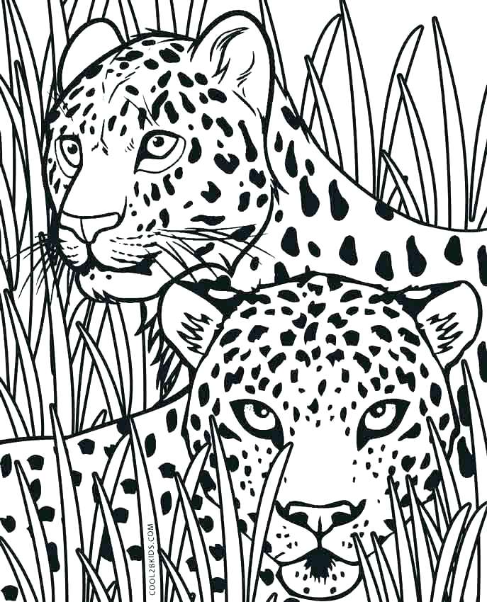 Coloring Pages Cheetah Back To Post Coloring Book Pages Cheetah 687x850 Coloring Pages Cheetah Back To Post Coloring Book Pages Cheetah