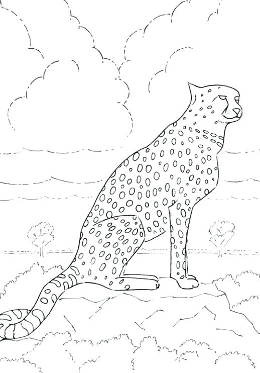 Realistic Cheetah Coloring Pages Printable Coloring Cheetah 518x742 Realistic Cheetah Coloring Pages Printable Coloring Cheetah