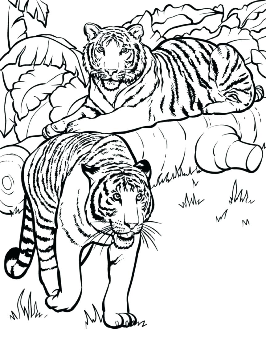 Coloring Pages ~ Cheetah Coloring Pages Tiger Printable Baby 863x1098 Coloring Pages ~ Cheetah Coloring Pages Tiger Printable Baby