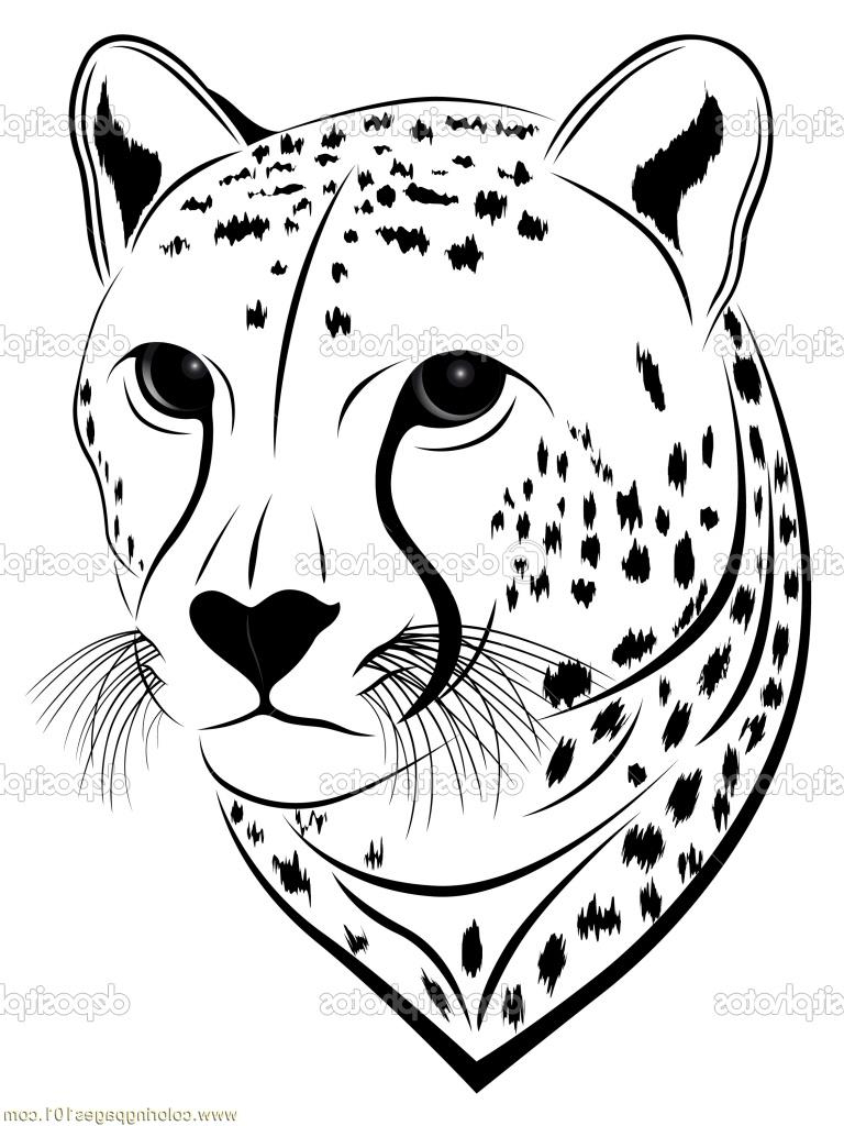 Animal Face Drawing Kids Colour Photos Cheetah Face Coloring Page 768x1024 Animal Face Drawing Kids Colour Photos Cheetah Face Coloring Page