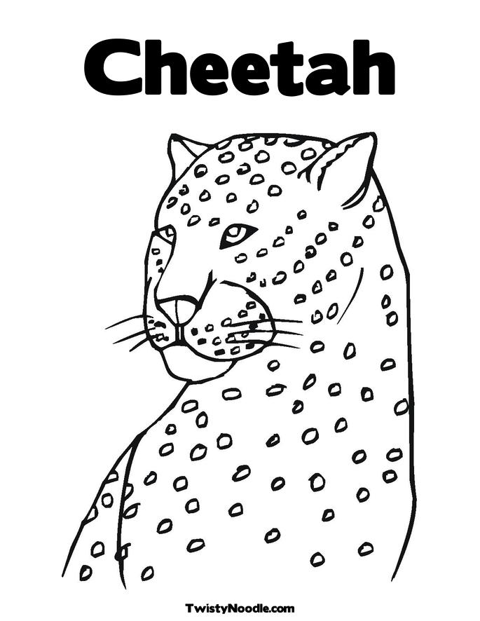 Cheetah Coloring Page 685x886 Cheetah Coloring Page