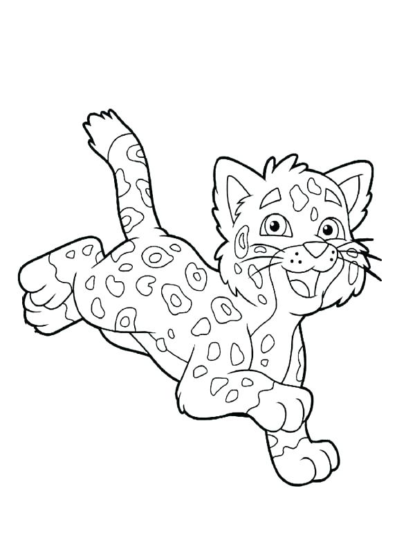 Cheetah Coloring Page Cheetah Coloring Page Hunting Cheetah 600x800 Cheetah Coloring Page Cheetah Coloring Page Hunting Cheetah