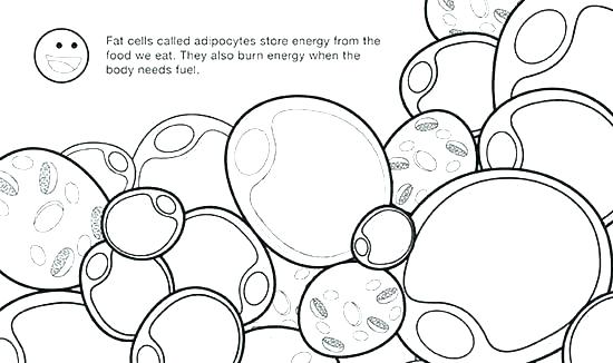 550x326 Chemistry Coloring Pages Science Printable Chemistry Coloring