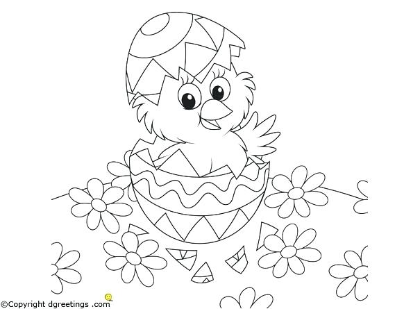 Chick Coloring Pages Chicks Coloring Pages Also Coloring Egg Free 582x445 Chick Coloring Pages Chicks Coloring Pages Also Coloring Egg Free