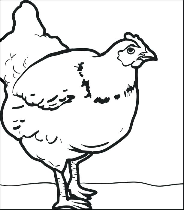 Hen Coloring Pages Hen Coloring Page Hen Colouring Pages 613x700 Hen Coloring Pages Hen Coloring Page Hen Colouring Pages