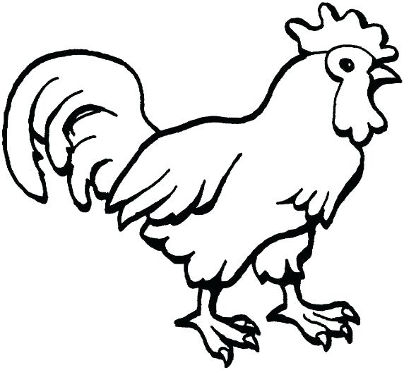 Hen Coloring Pages Jumbo Coloring Pages Hen With Chickens Coloring 572x525 Hen Coloring Pages Jumbo Coloring Pages Hen With Chickens Coloring