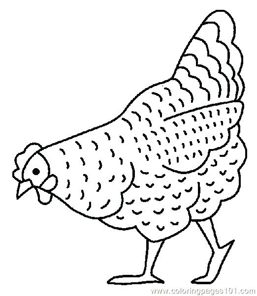 Hens Coloring Pages Chicken Coloring Page Chicken Coloring Pages 522x602 Hens Coloring Pages Chicken Coloring Page Chicken Coloring Pages