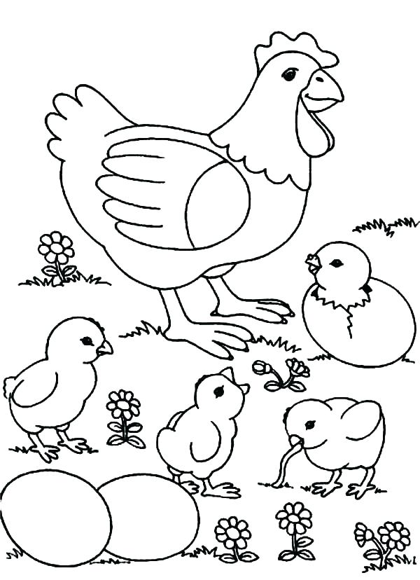 Baby Chick Coloring Pages Chick Coloring Pages Easter Baby Chick 600x828 Baby Chick Coloring Pages Chick Coloring Pages Easter Baby Chick