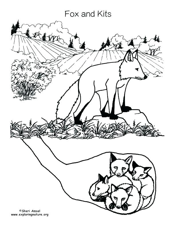 Childrens Christmas Coloring Pages Free Kids Coloring Red Fox 612x792 Childrens Christmas Coloring Pages Free Kids Coloring Red Fox