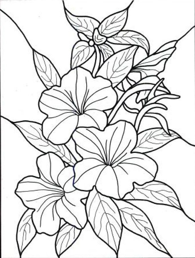 682x900 Coloring Book Pages Of Flowers