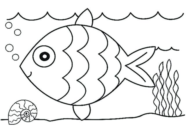 Coloring Worksheets Kindergarten Color Number Butterfly Worksheet 644x446 Coloring Worksheets Kindergarten Color Number Butterfly Worksheet