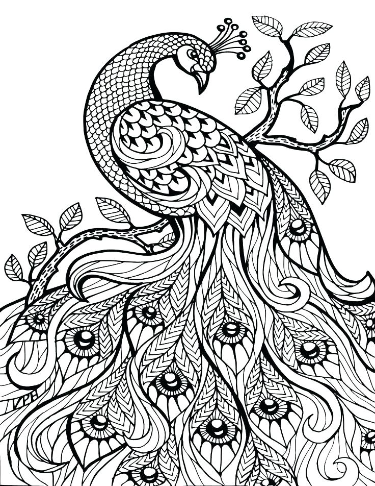 Free Coloring Page Printouts at Free printable