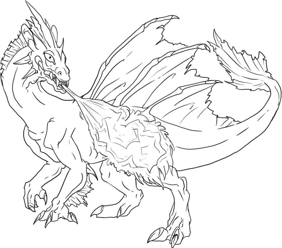 Spotlight Dragon Colouring Pictures Toothless 978x860 Spotlight Dragon Colouring Pictures Toothless