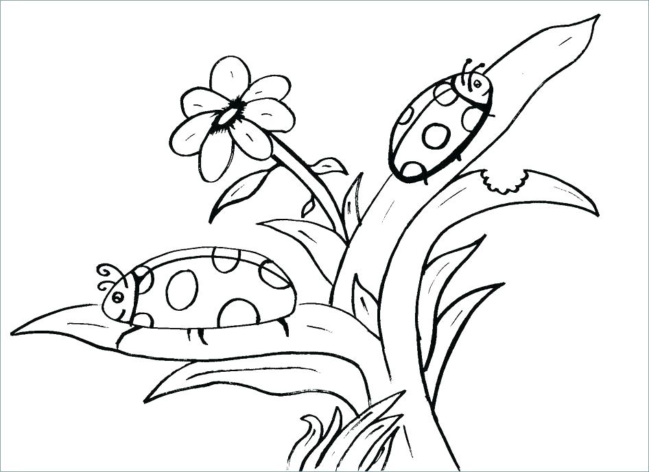 Free Coloring Page Websites at - Free Coloring Page Websites 17 