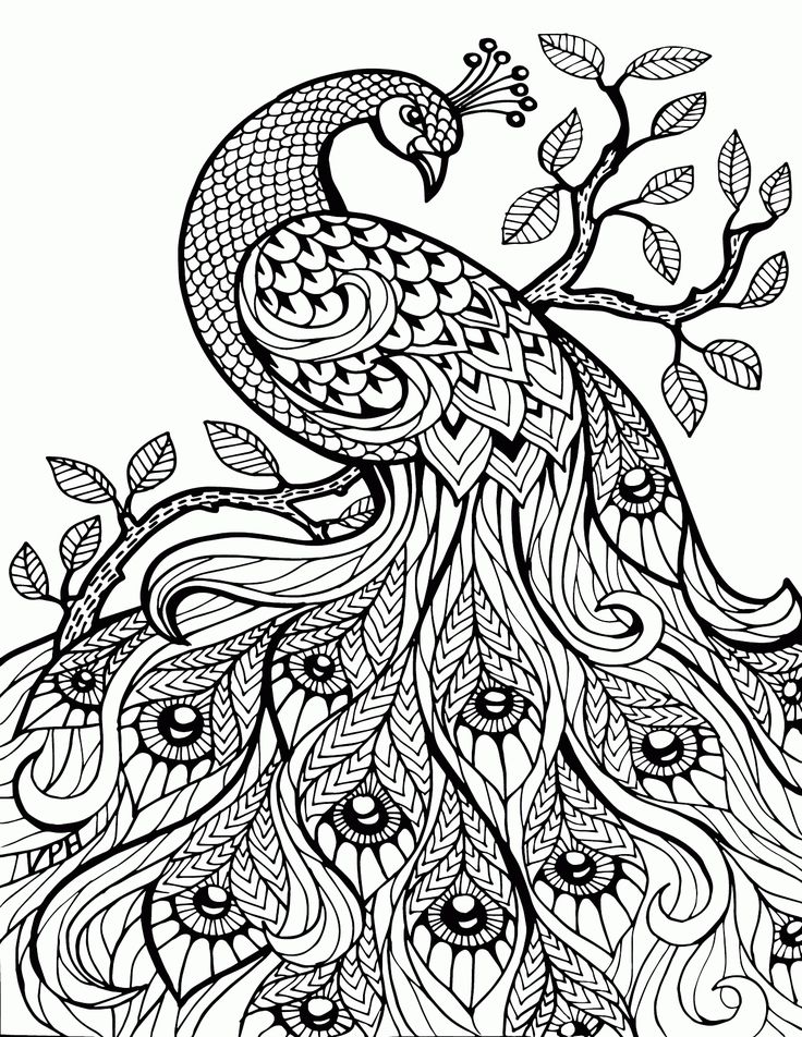 Free Printable Coloring Pages For Adults Advanced 736x952 Free Printable Coloring Pages For Adults Advanced