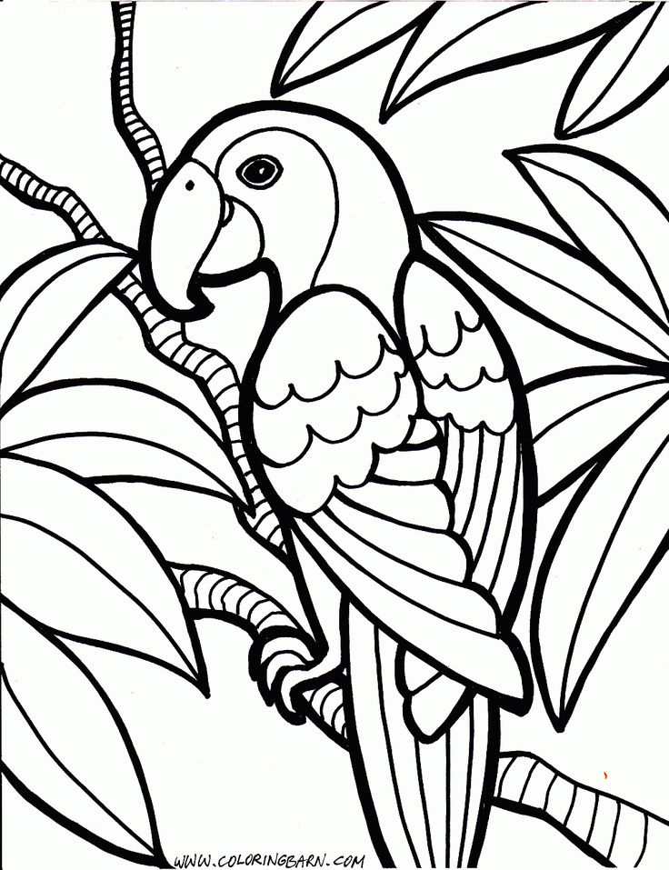 Free Coloring Page Trend Free Coloring Pages 19 About Remodel Ew 736x957 Free Coloring Page Trend Free Coloring Pages 19 About Remodel Ew