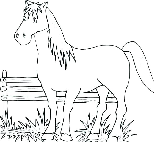 588x541 Free Coloring Pages Animals Free Coloring Pages Of Animals Baby