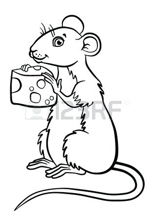 318x450 Free Coloring Pages Animals Realistic Kids Coloring Coloring Pages