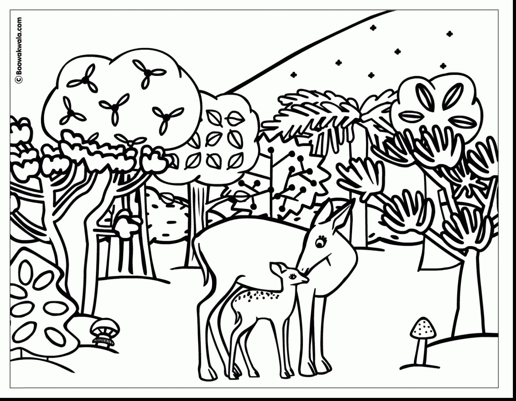1652x1285 New Realistic Jungle Animal Coloring Pages Free Coloring Pages
