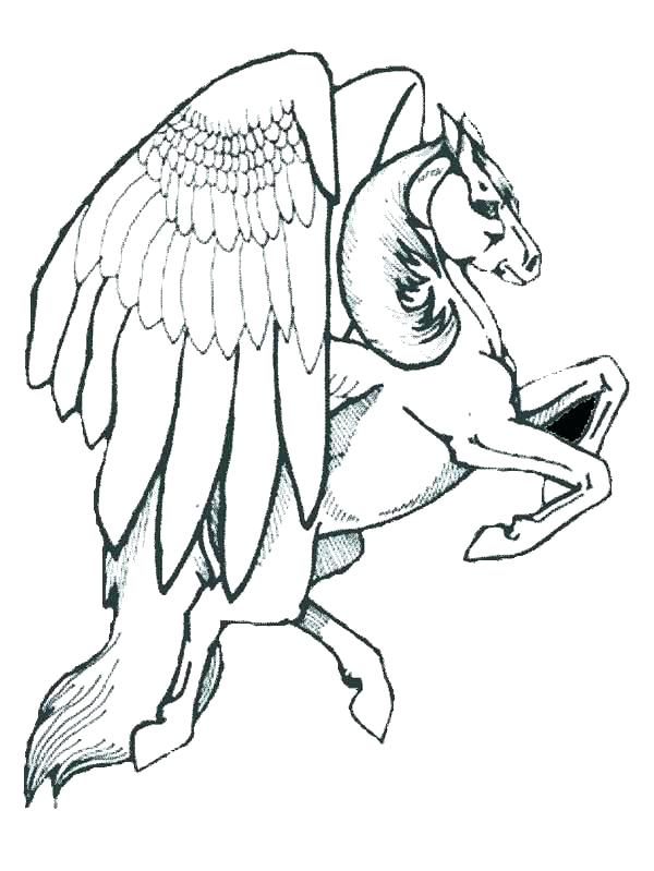 600x799 Realistic Coloring Pages Coloring Pages Animals Realistic Free