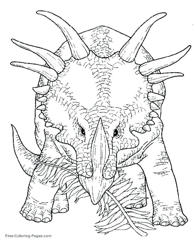 670x820 Coloring Animal Pages Free Dinosaur Coloring Pages Arctic Coloring