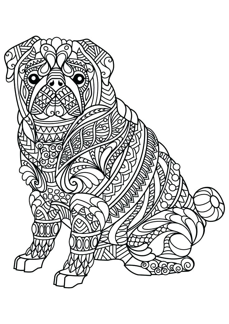 736x1040 Coloring Pages Animals Realistic Coloring Pages Animals Realistic
