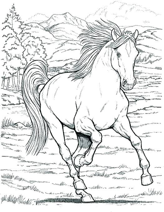 526x676 Coloring Pages Animals Realistic Free Coloring Pages Animals Good