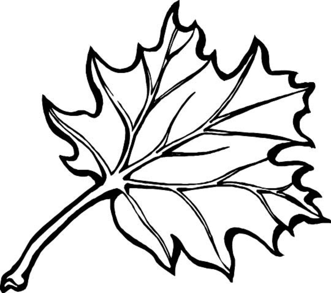 1080x956 Leaf Coloring Pages The Sun Flower Pages