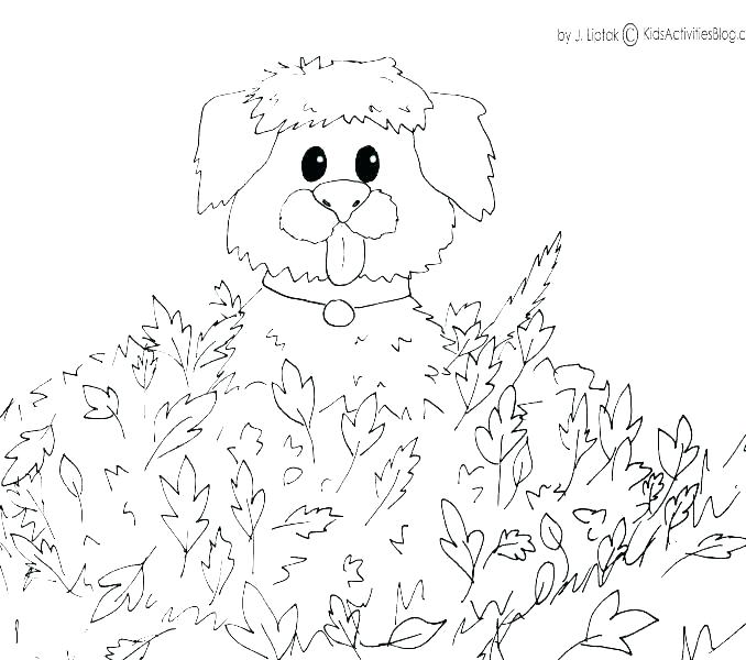 678x600 Coloring Pages For Fall Fall Coloring Pages Fall Coloring Pages