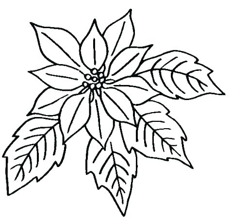 Coloring Pages Flowers And Butterflies Coloring Pages 474x451 Coloring Pages Flowers And Butterflies Coloring Pages