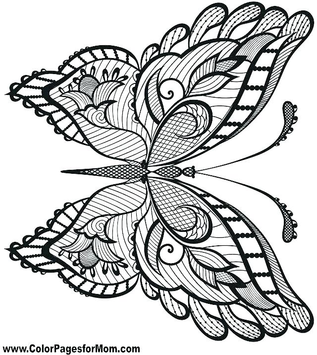 Free Coloring Pages Flowers And Butterflies Butterfly Coloring 640x715 Free Coloring Pages Flowers And Butterflies Butterfly Coloring