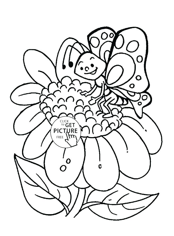 Free Coloring Pages Of Flowers And Butterflies Adult Coloring 736x993 Free Coloring Pages Of Flowers And Butterflies Adult Coloring