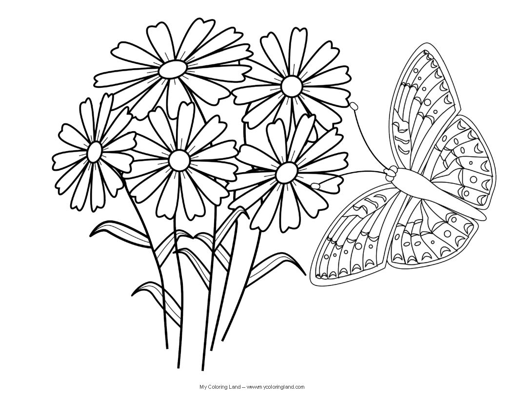 Coloring Books Free Coloring Pages Flowers And Butterflies New 1056x816 Coloring Books Free Coloring Pages Flowers And Butterflies New