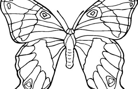 Free Coloring Pages Flowers And Butterflies Just Colorings 469x304 Free Coloring Pages Flowers And Butterflies Just Colorings