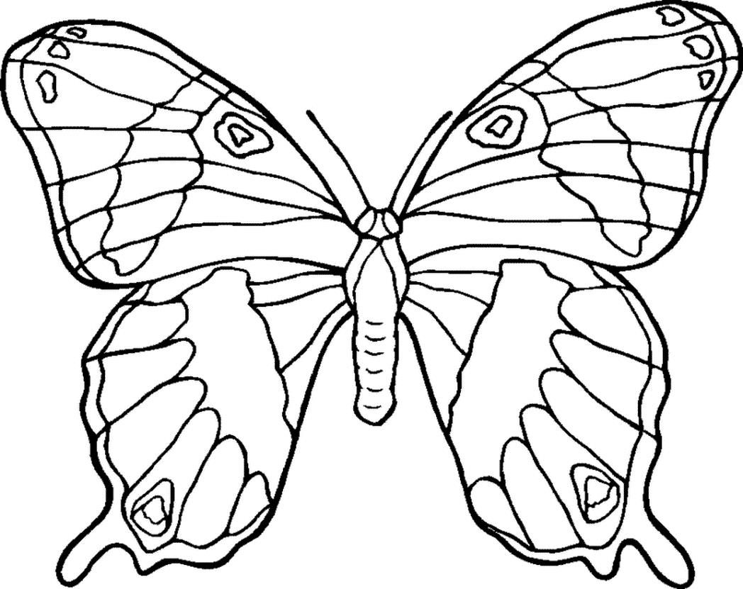 Httpcolorings.cofree Coloring Pages Flowers And Butterflies 1048x831 Httpcolorings.cofree Coloring Pages Flowers And Butterflies