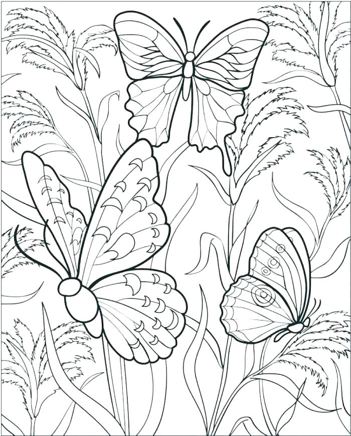 Coloring Pages Flowers Coloring Pages Flowers And Butterflies 700x868 Coloring Pages Flowers Coloring Pages Flowers And Butterflies