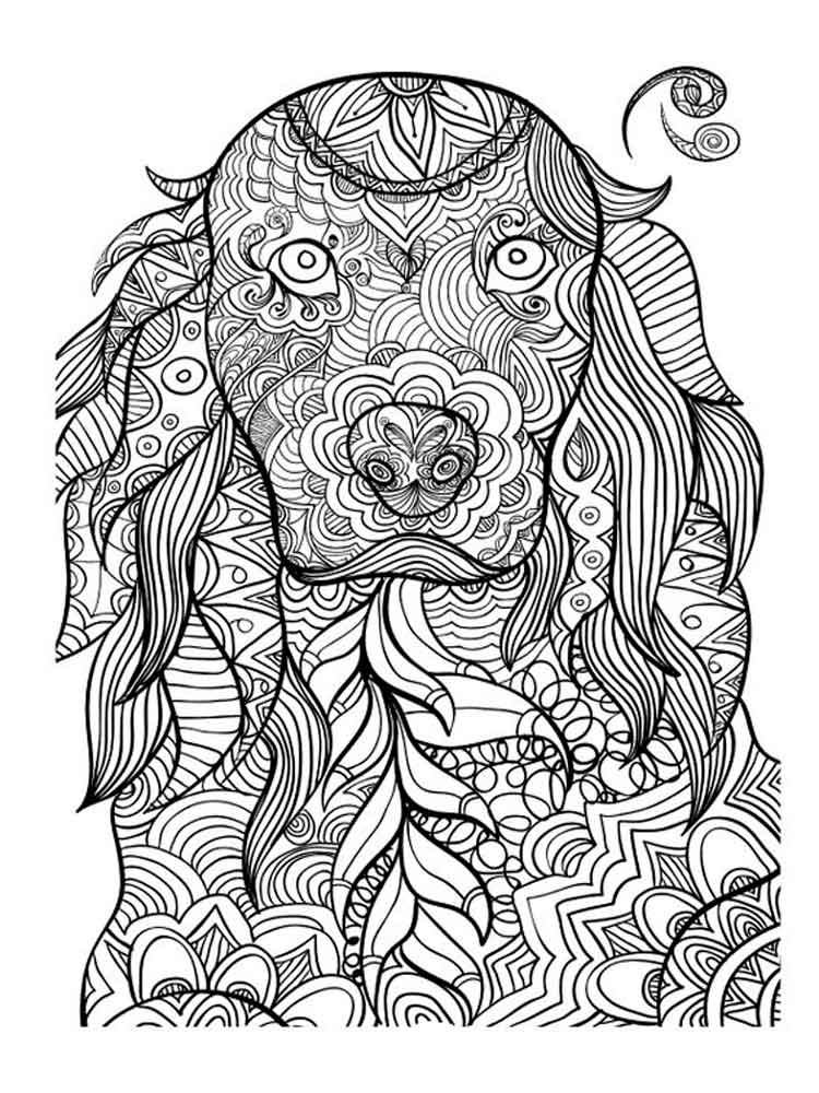 Animals Coloring Pages For Adults. Free Printable Animals Coloring 750x1000 Animals Coloring Pages For Adults. Free Printable Animals Coloring