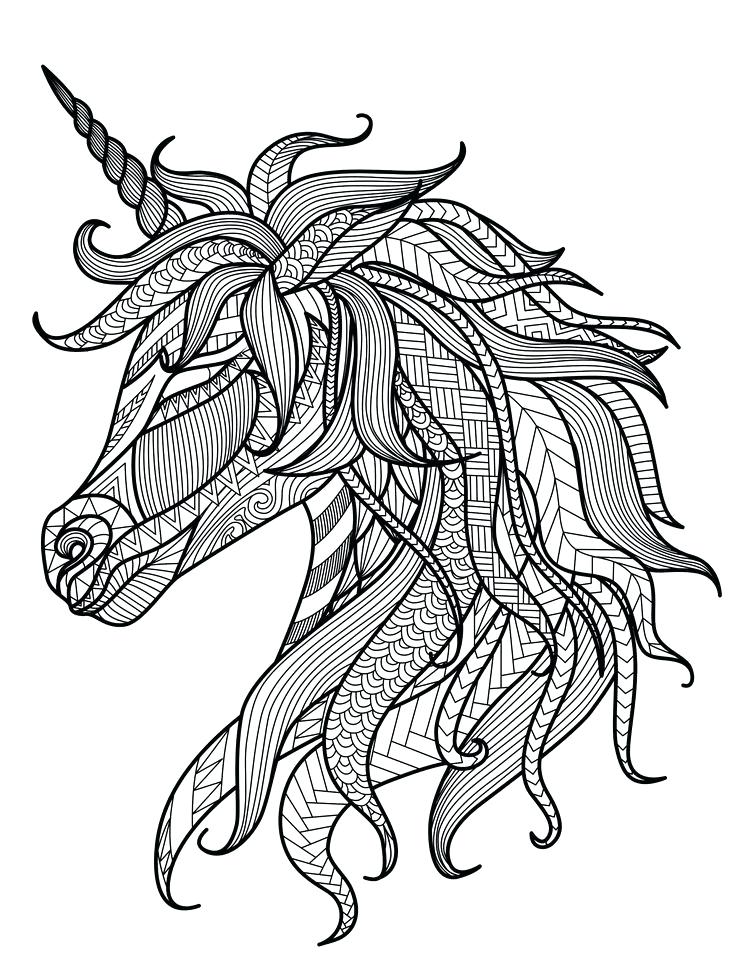 Animal Mandala Coloring Pages 736x971 Animal Mandala Coloring Pages