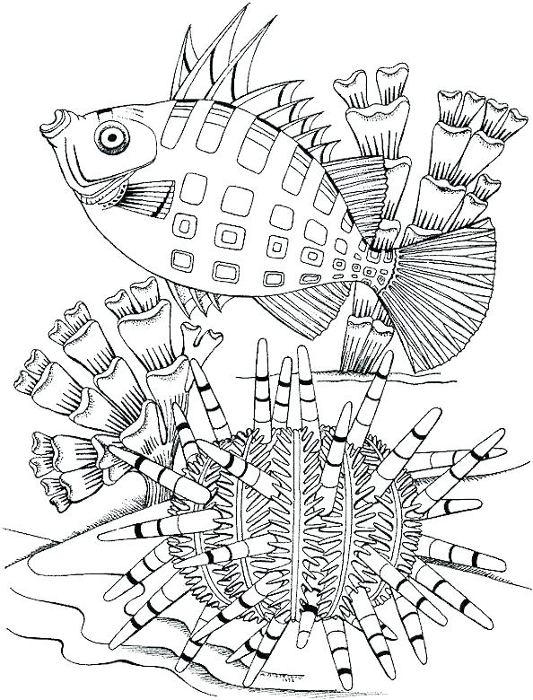 594x780 Printable Coloring Pages For Adults Only