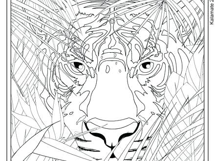 440x330 Teenage Coloring Pages