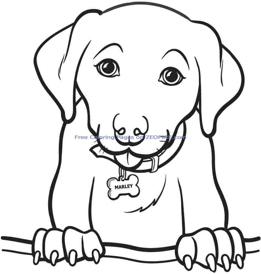 867x910 Coloring Pages Girls Coloring Pages Printable Coloring Pages
