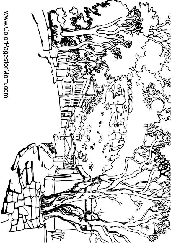579x820 Landscape Adult Coloring Landscaping And Adult
